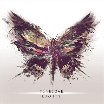 Tineidae/Lights